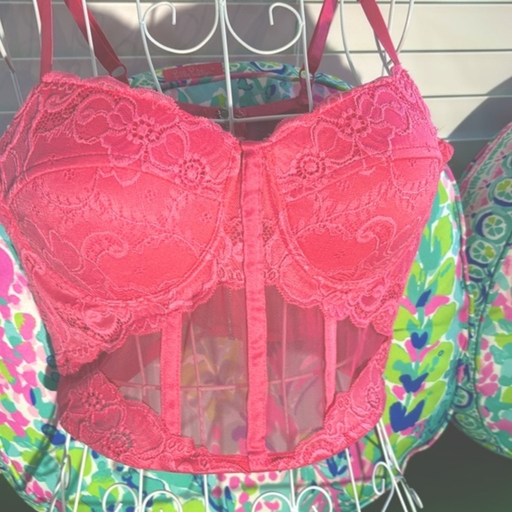 Say What? Pink lace trimmed bustier corset style lingerie